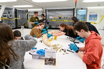 Students working on a project